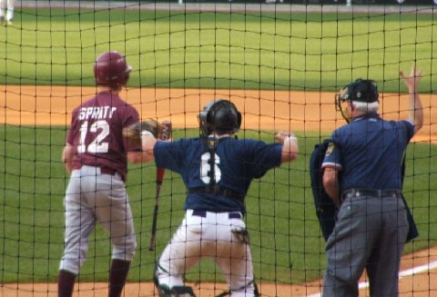 carp9.jpg (41423 bytes)